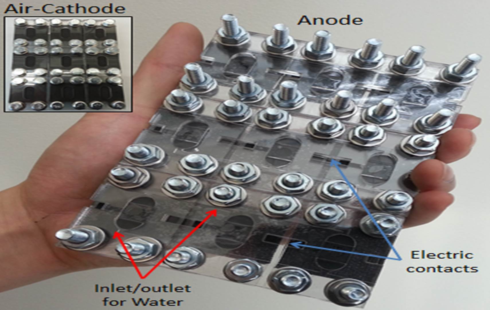 Biological solar cell concept for scalable panel integration